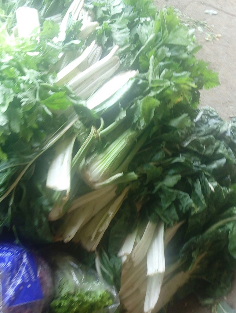 Acelgas