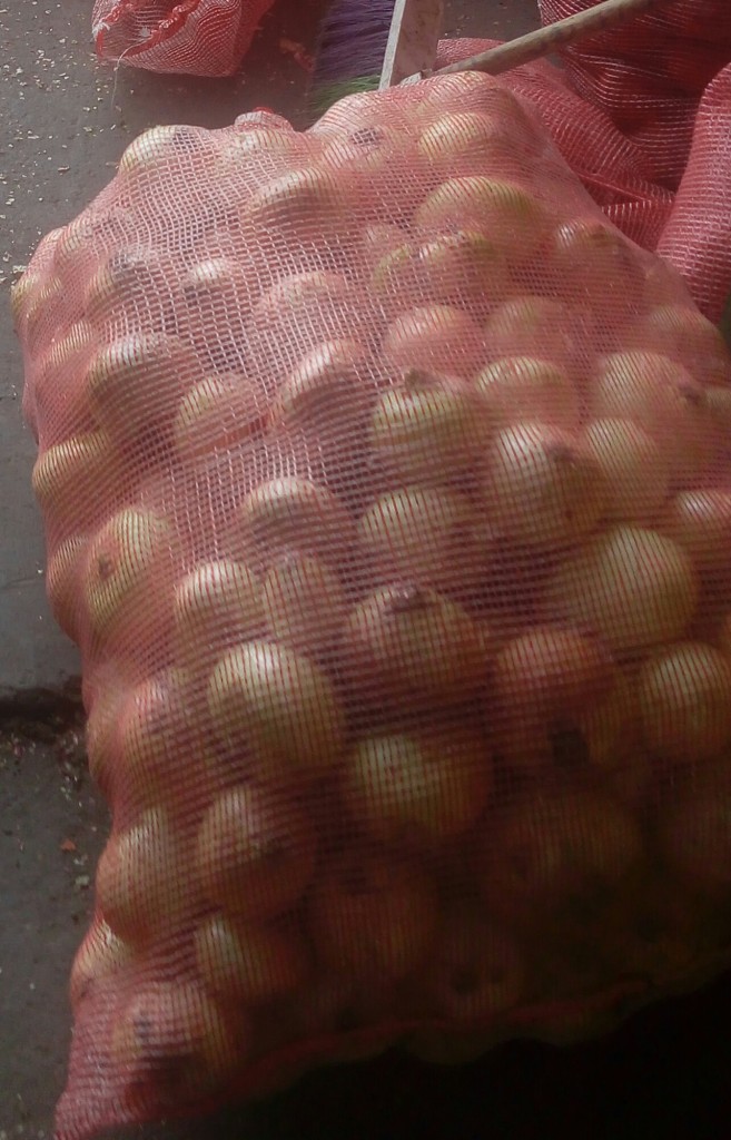 Cebolla cabezona
