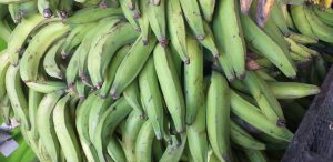 Platano verde harton