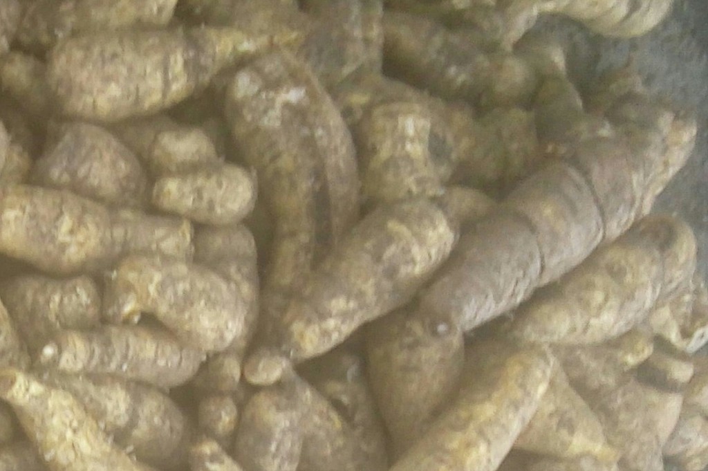 Remolachas