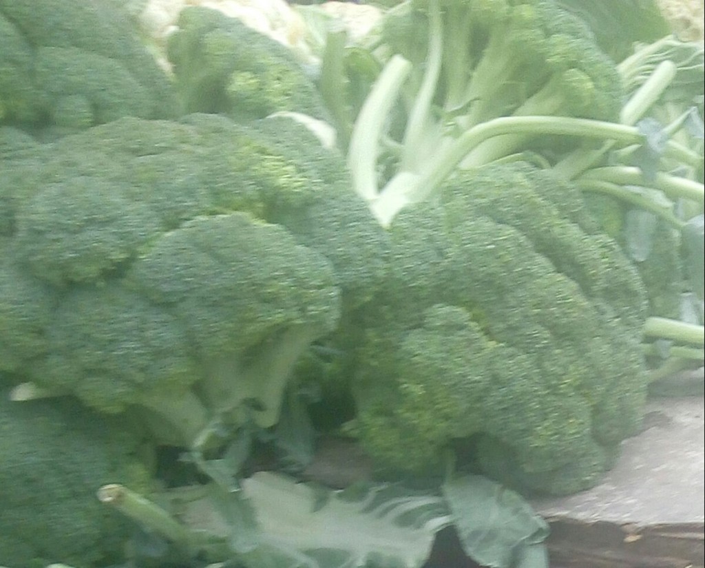 Brócoli