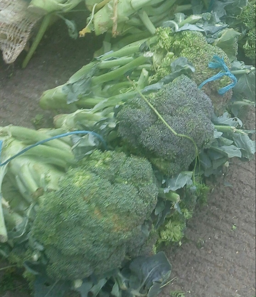 Coliflor