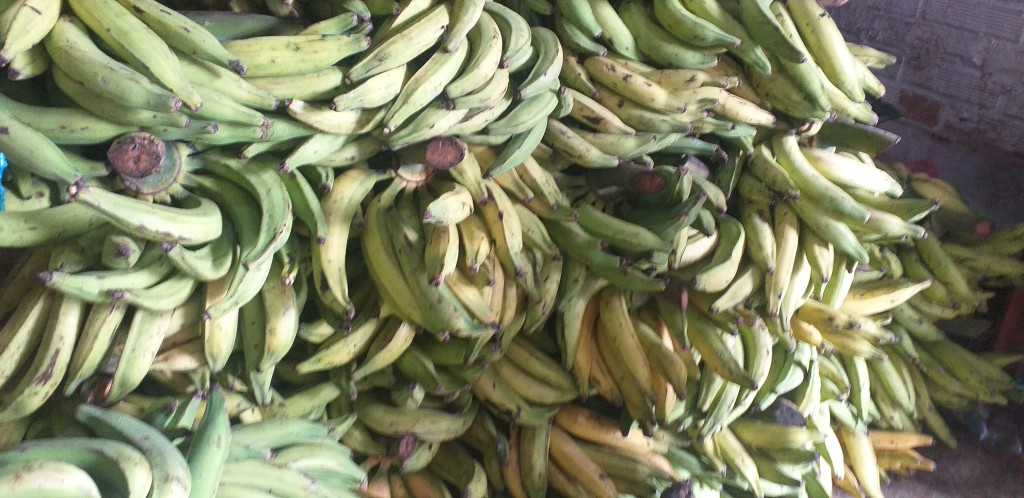 Platano verde