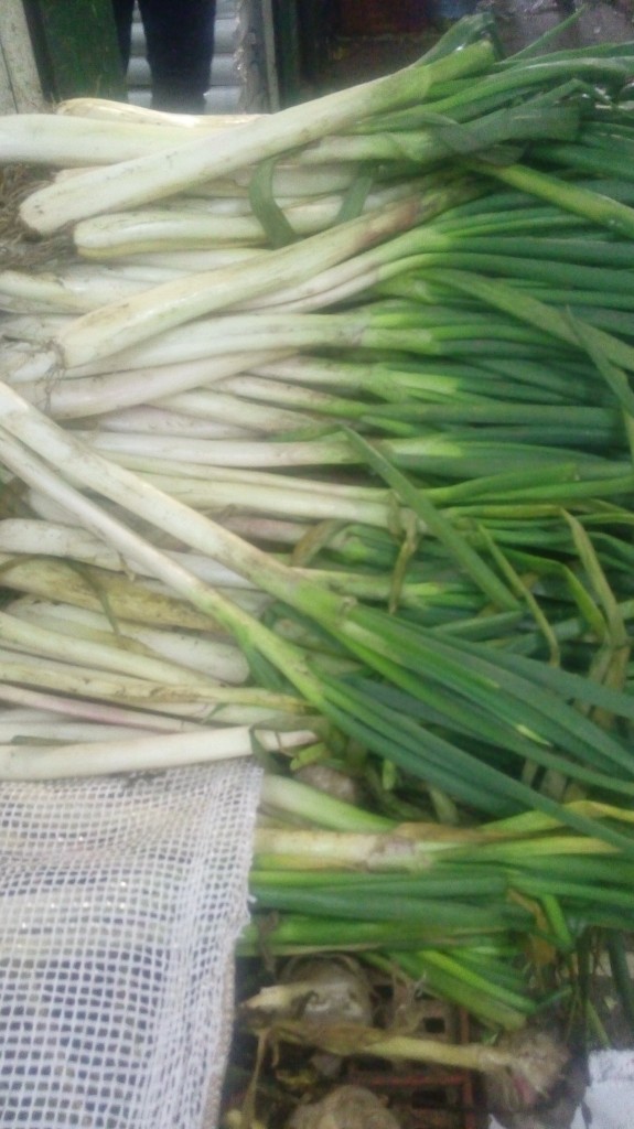 Cebolla larga