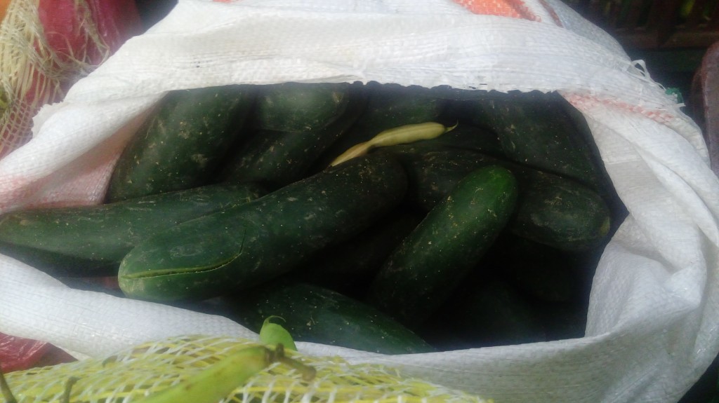 Pepino cohombro