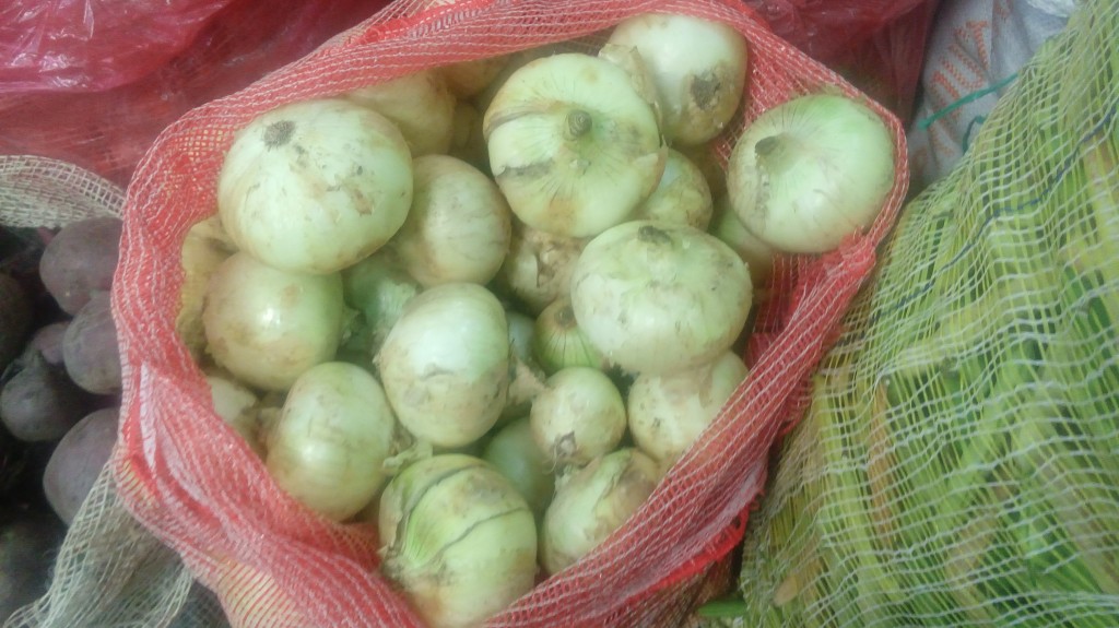 Cebolla cabezona  fina
