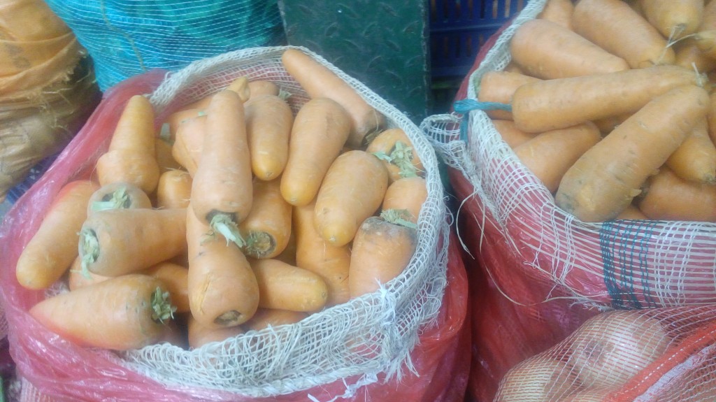 Zanahoria