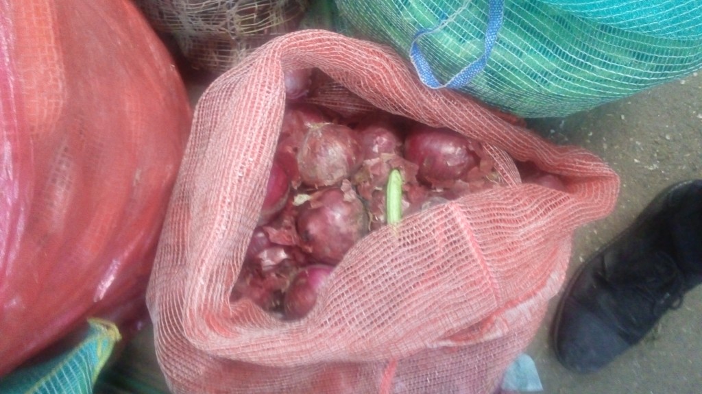 Cebolla cabezona morada
