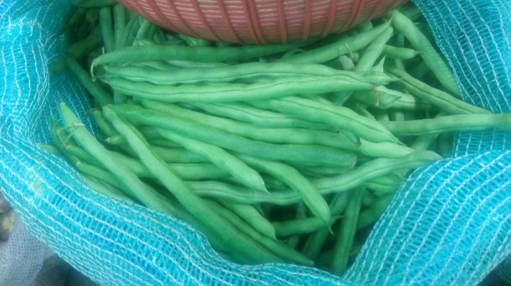 Habichuelas