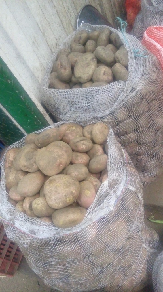 Papa pastusa de segunda