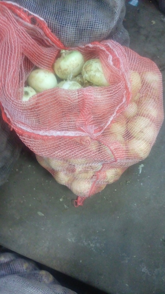Cebolla cabezona