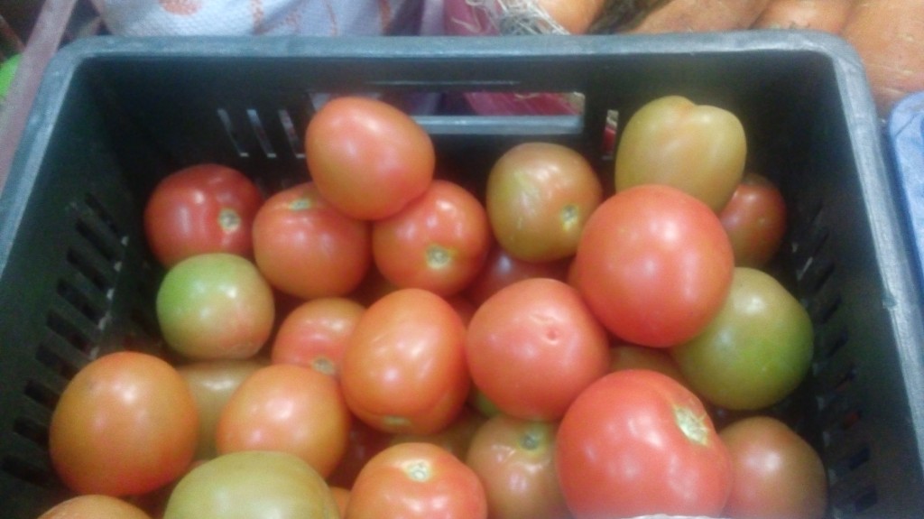 Tomate chonto de segunda