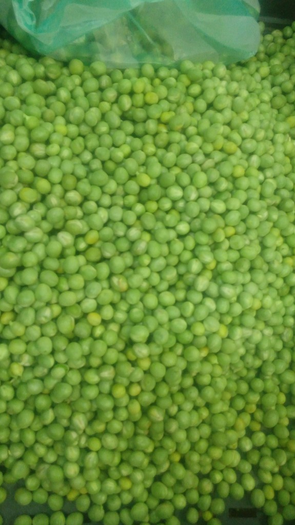 Arveja de primera