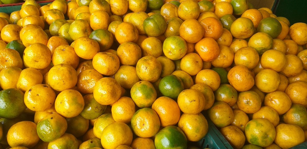 Mandarina