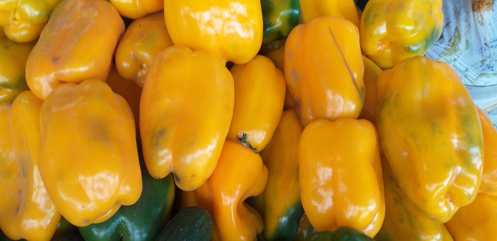 Pimenton amarillo