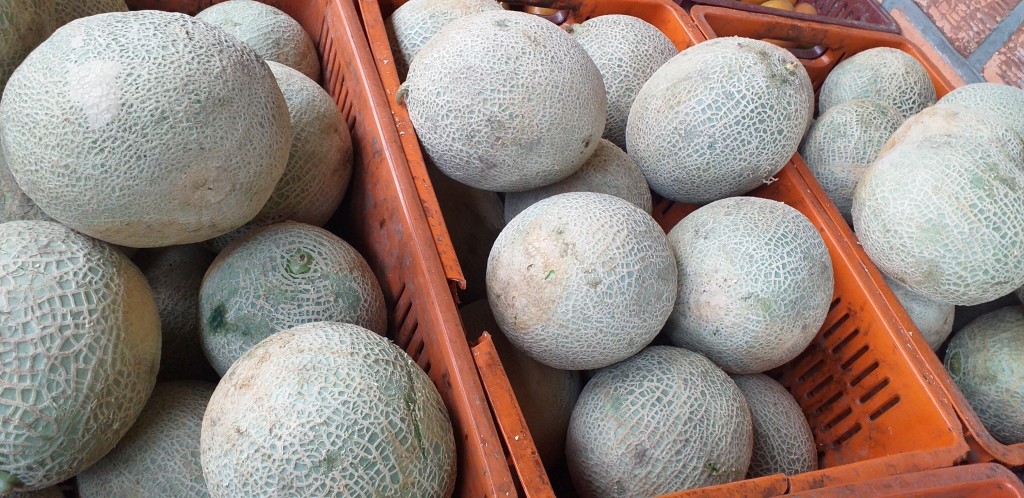 Melon