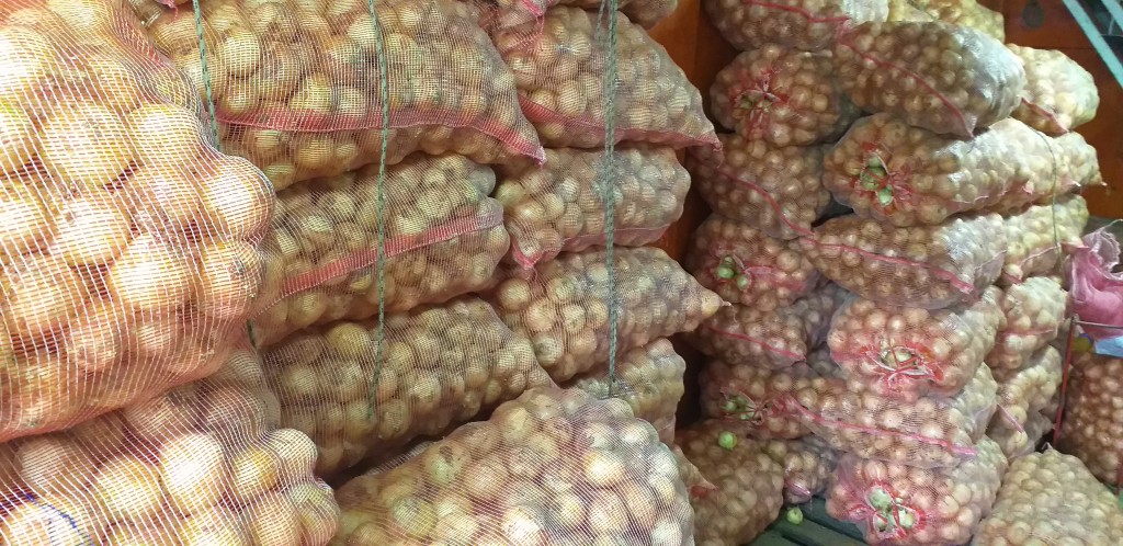 Cebolla blanca gruesa