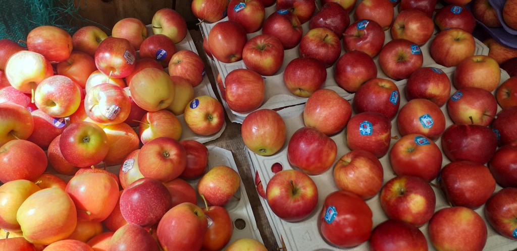 Manzana gala