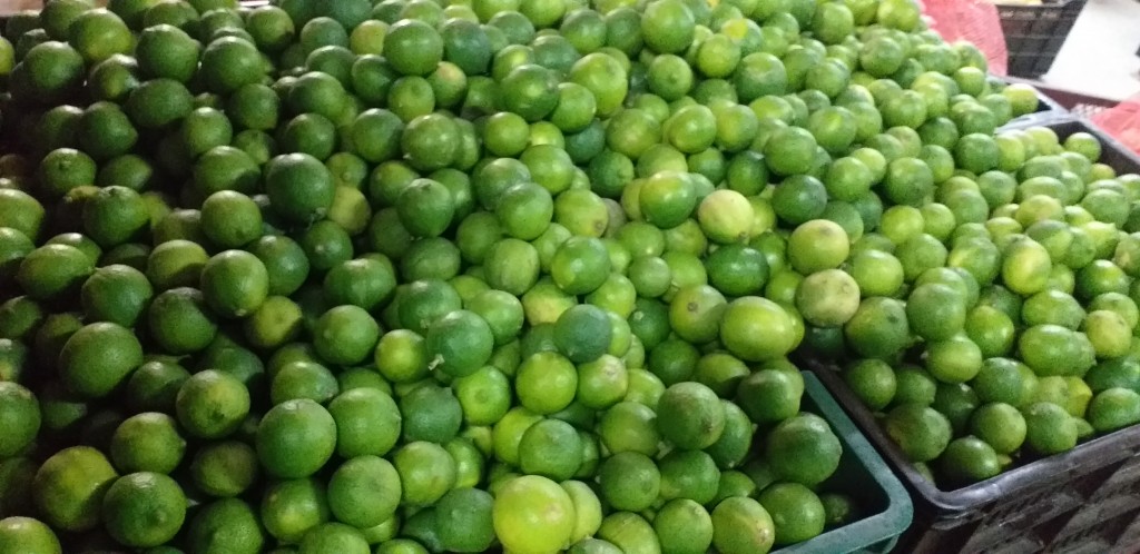 Limon tahiti delgado
