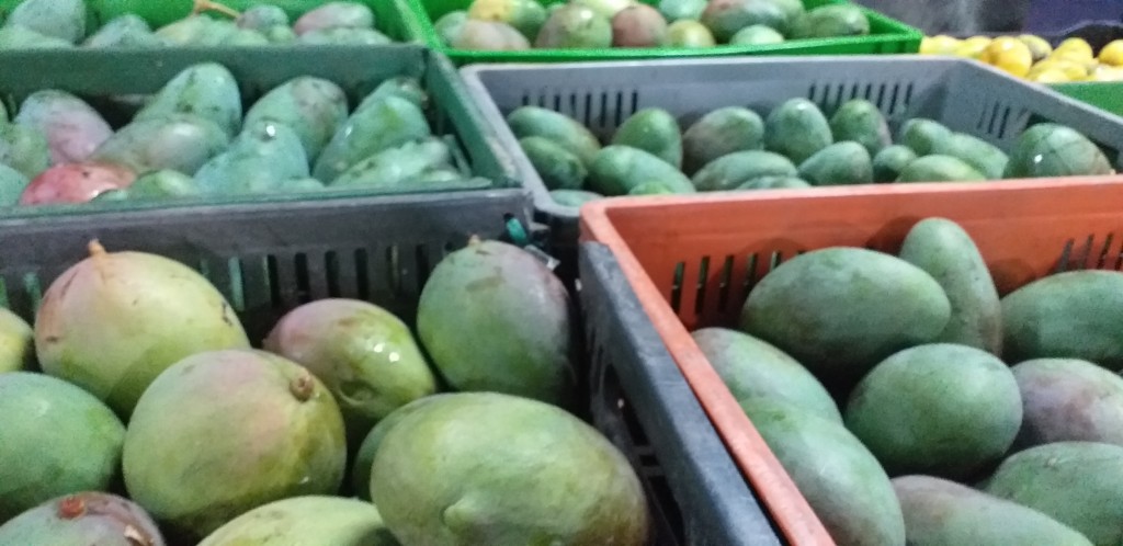 Mango farchi