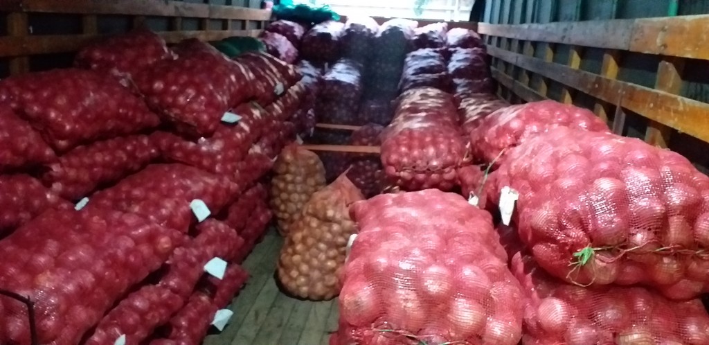 Cebolla peruana