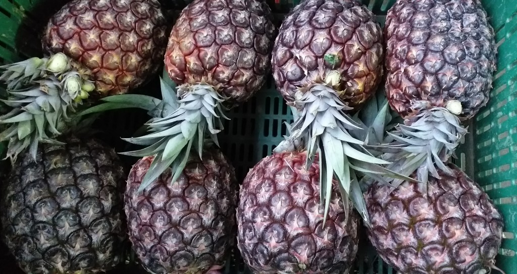 Piña manzana