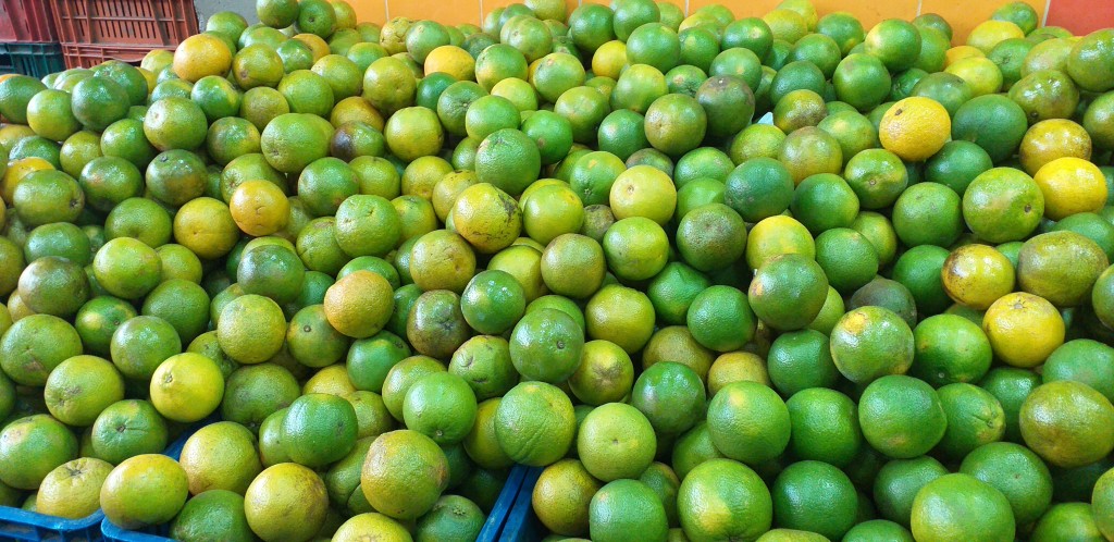 Naranja valencia