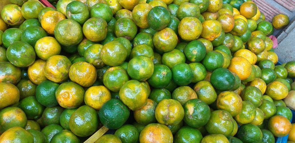Mandarina oneco 2da