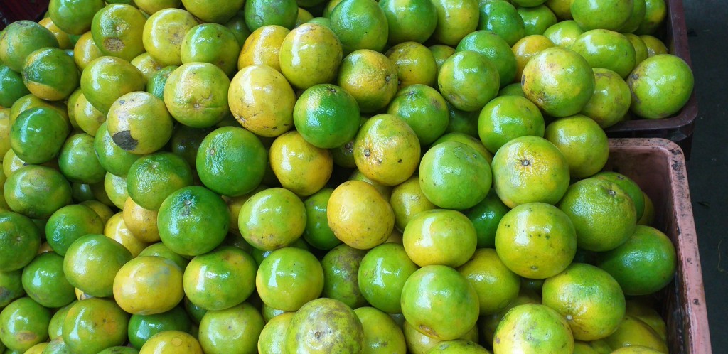 Naranja valencia 2da