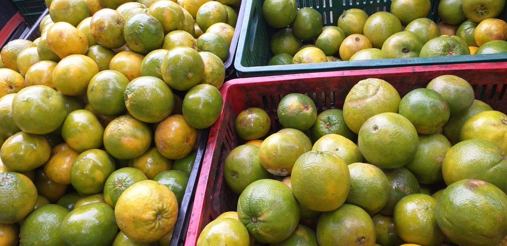 Naranja washington