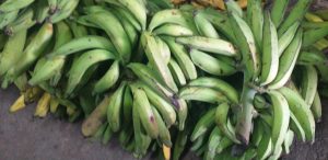 Platano verde