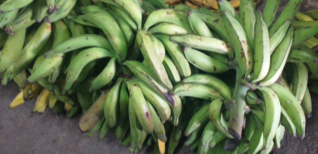 Platano verde