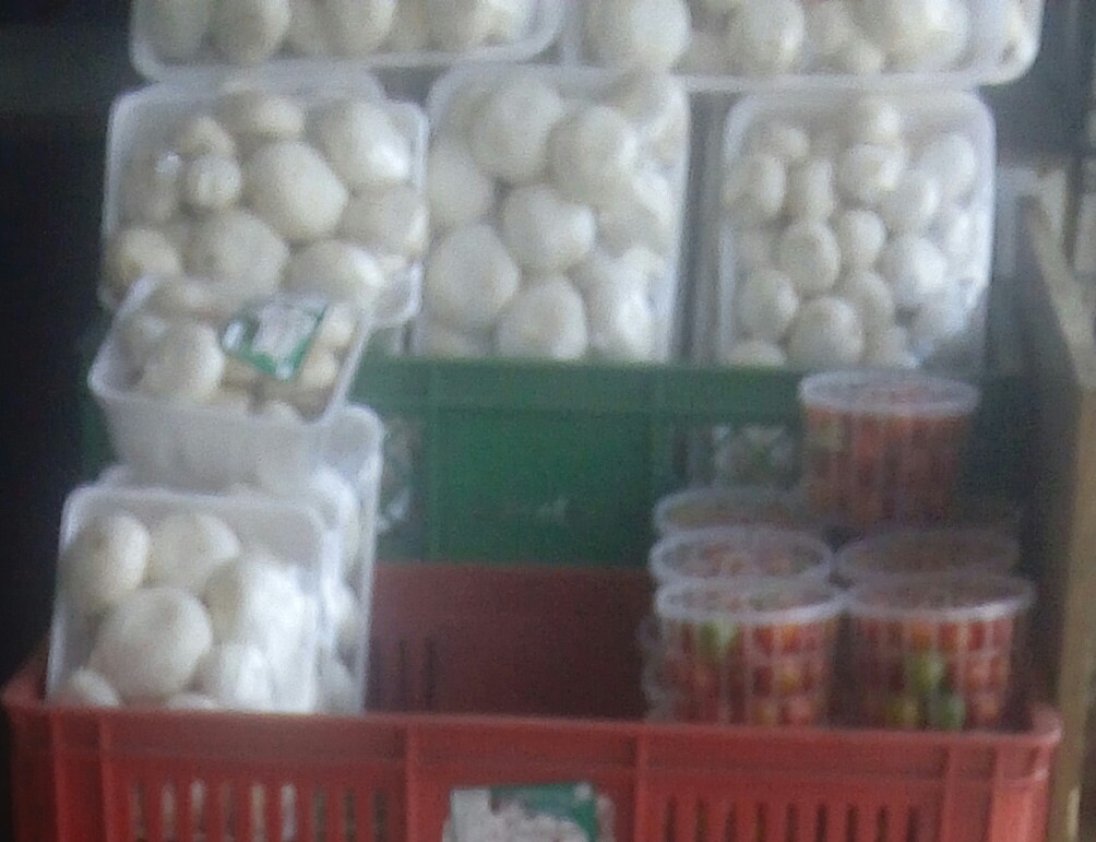 Champiñones