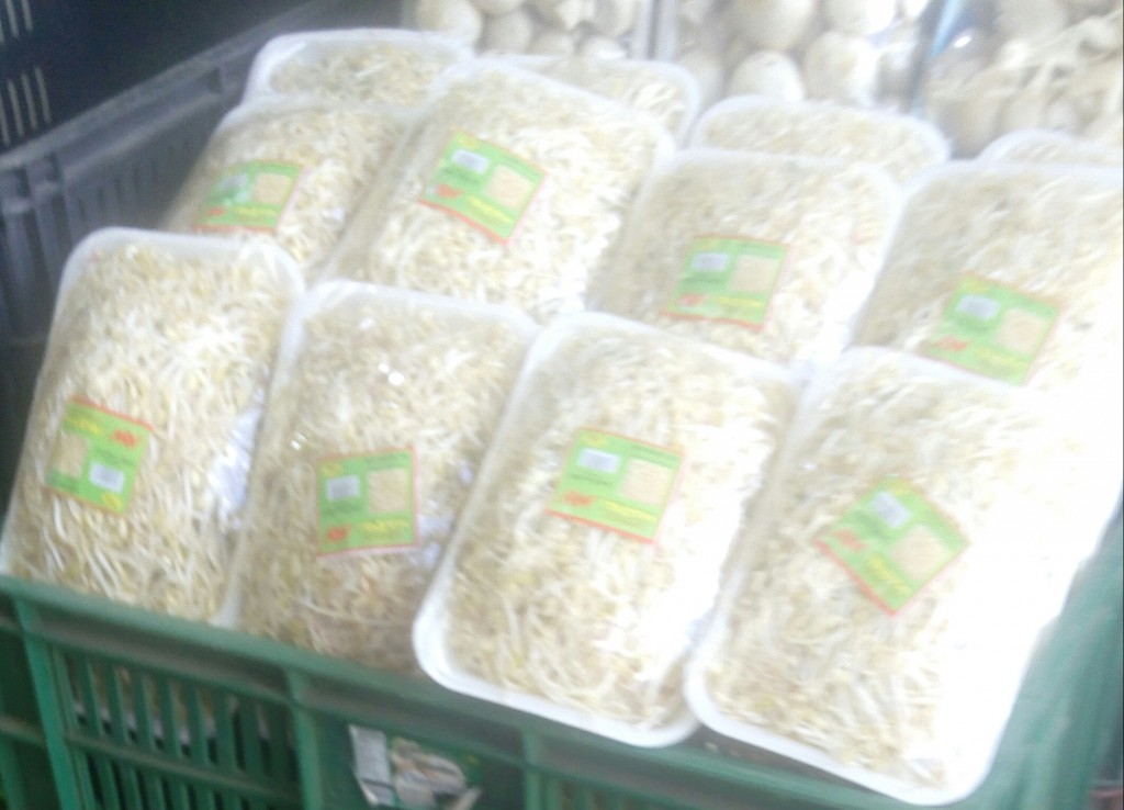 Raíces