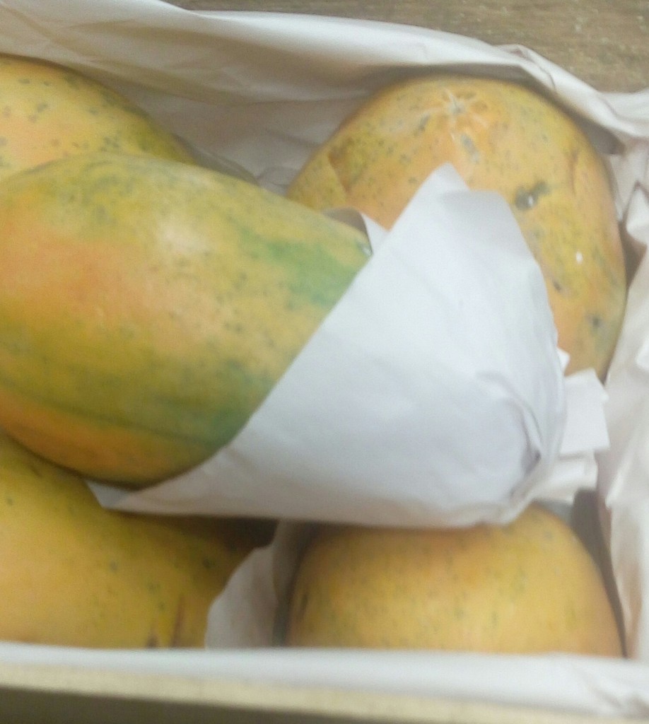 Papaya