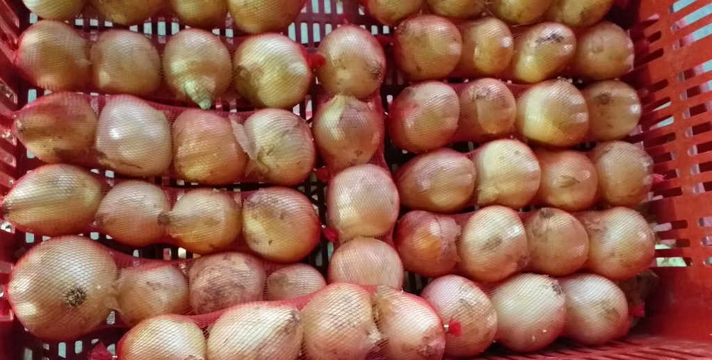 Cebolla en malla 4 pepas