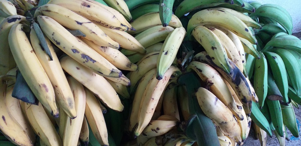 Platano maduro