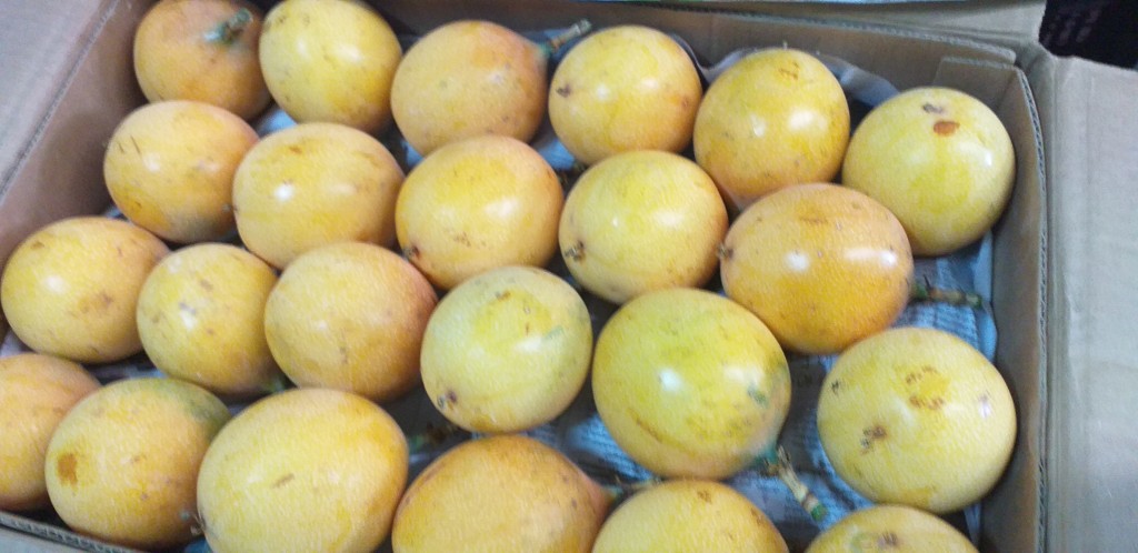 Granadilla extra