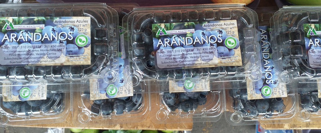 Arandanos