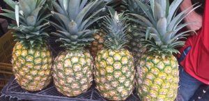 Piña oromiel