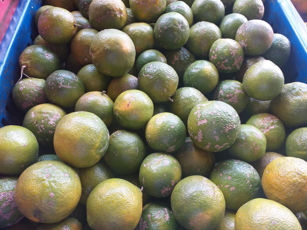 Limon mandarino