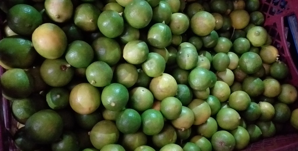 Limon tahiti delgado