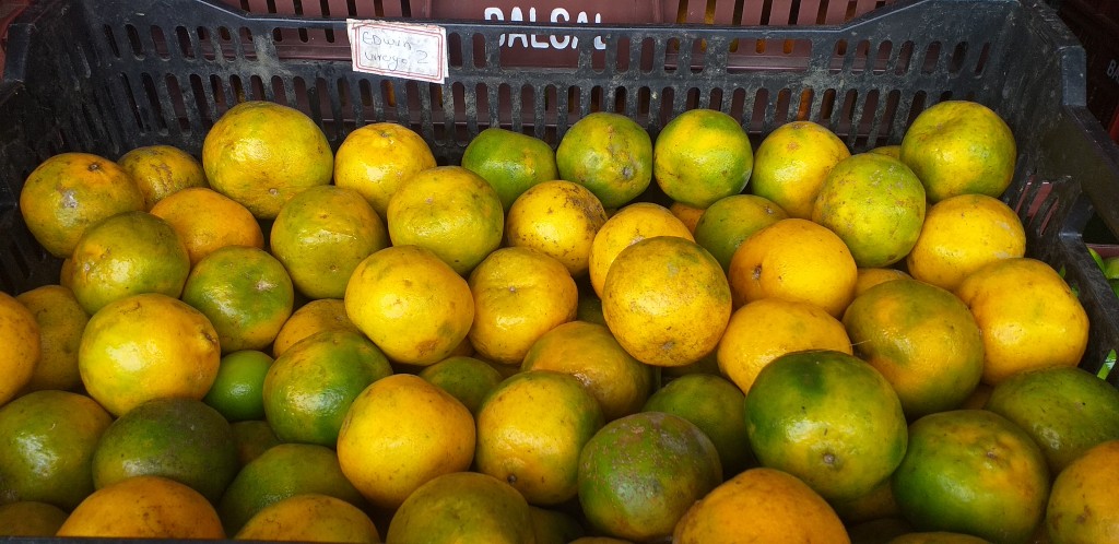 Naranja valencia manchada