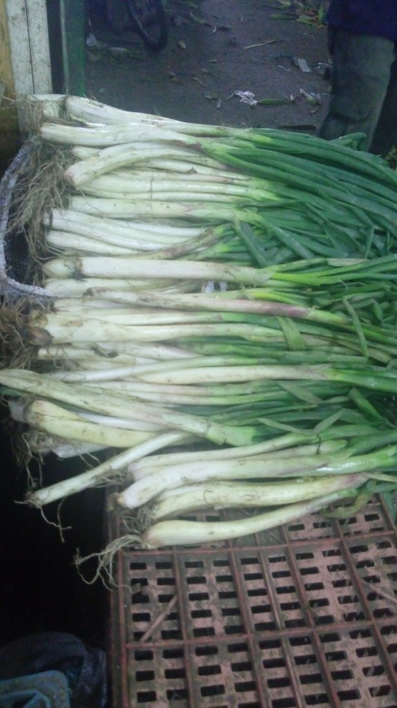 Cebolla larga