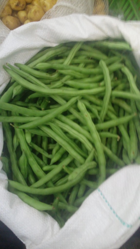 Habichuelas