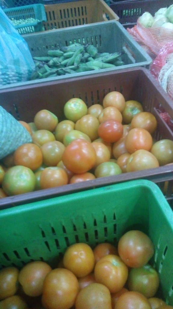 Tomate chonto de primera