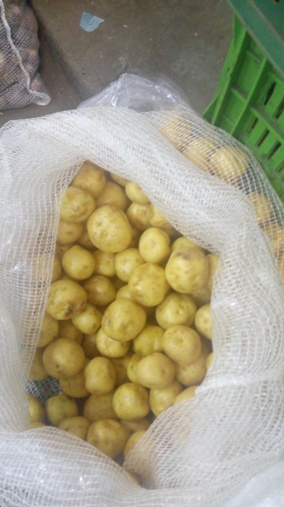 Papa Criolla gruesa