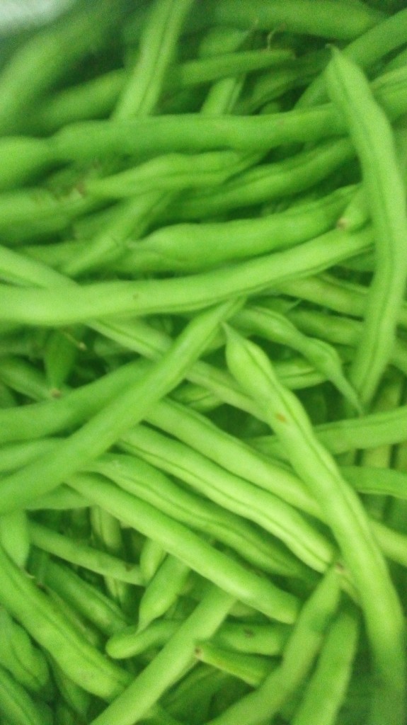 Habichuelas de segunda