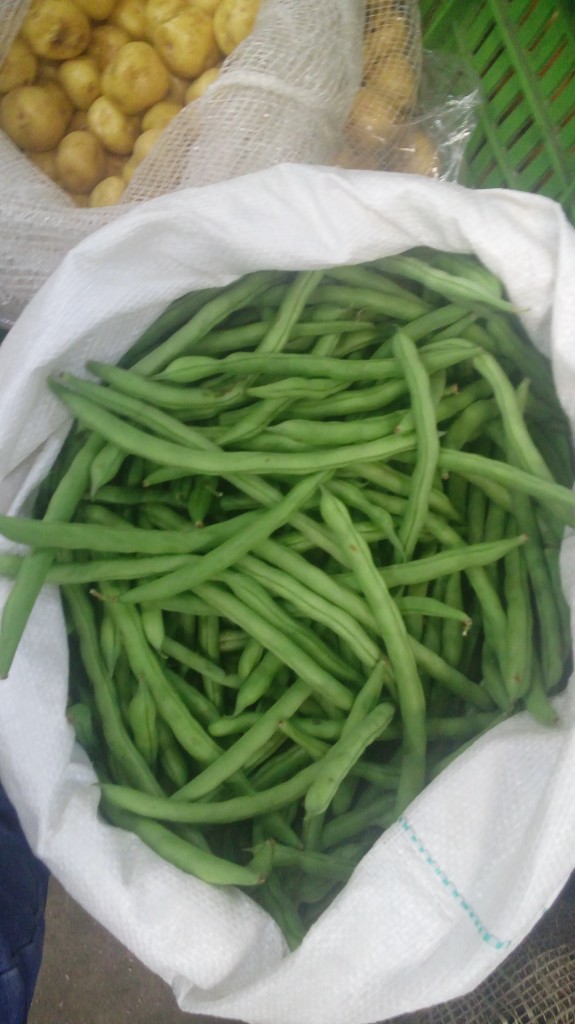 Habichuelas de primeras