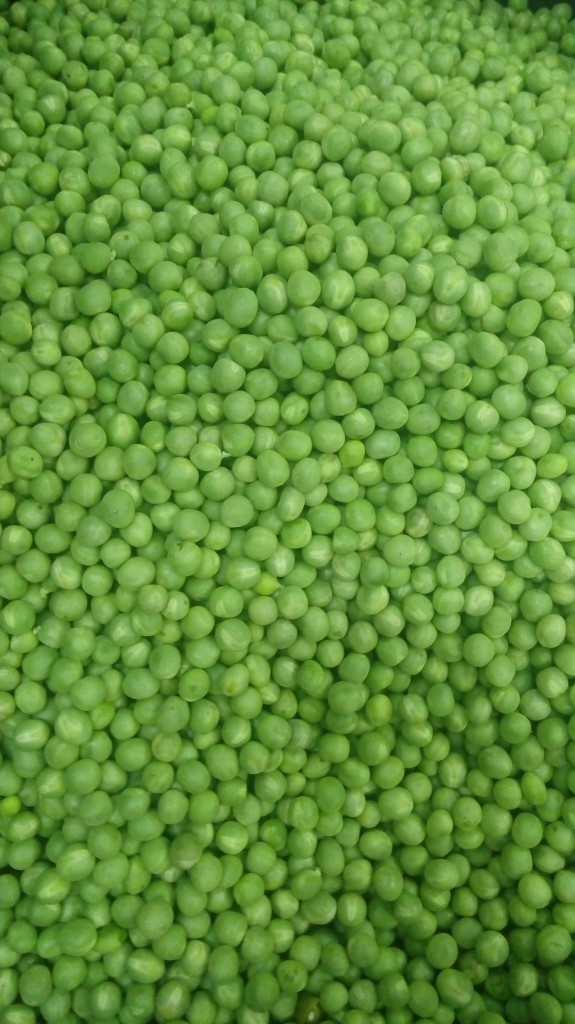Arveja